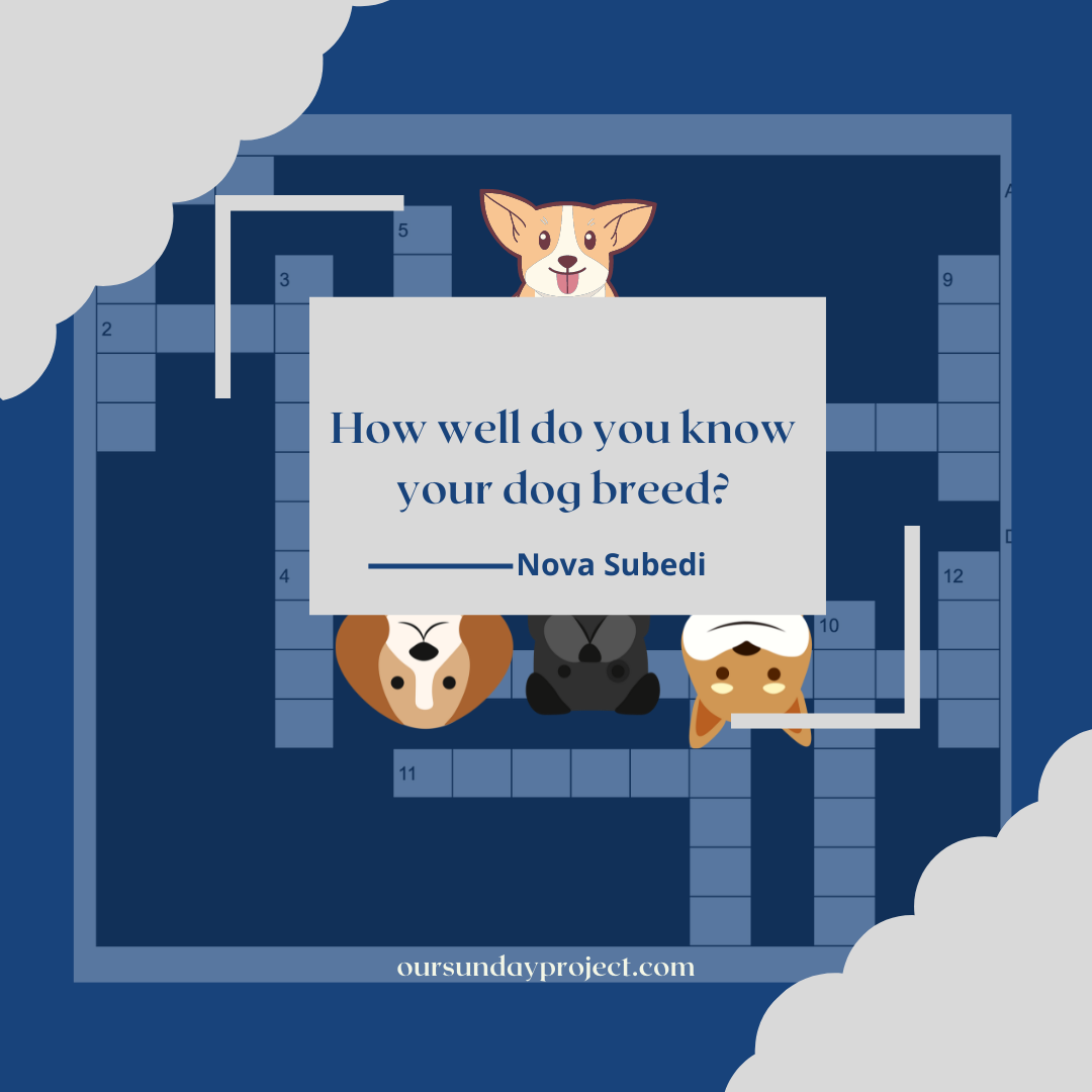 How well do you know your dog breed? Dog Breed Crossword